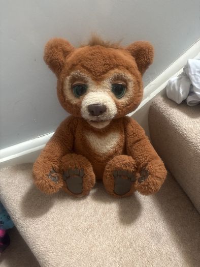 Cubby talking bear
