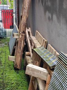 Timber for firewood