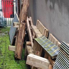 Timber for firewood