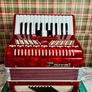 Piano accordion Parrot for kids Image 2