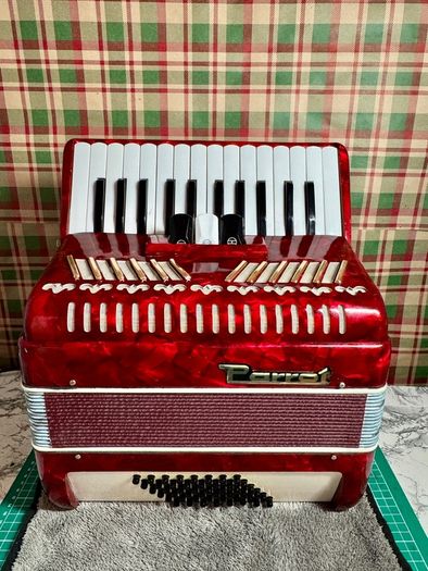 Piano accordion Parrot for kids