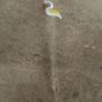Vintage Glass Bird Swizzle Sticks Image 6