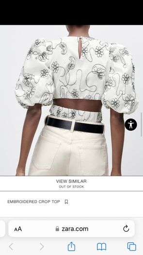 Embroidered Crop Top - Zara NEW