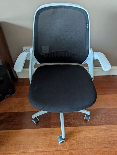 Ergonomic Office chair