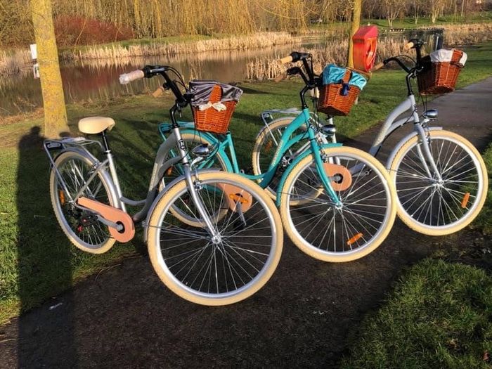 Lady's City Bike / Basket / 7 Shimmano Gears / DELIVERY