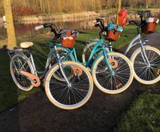 Lady's City Bike / Basket / 7 Shimmano Gears / DELIVERY