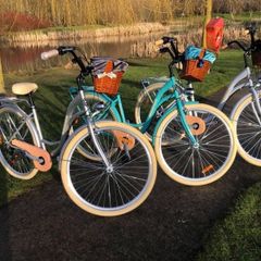 Lady's City Bike / Basket / 7 Shimmano Gears / DELIVERY