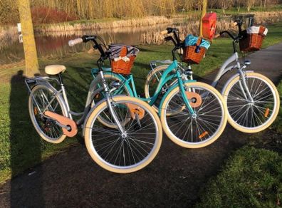 Lady's City Bike / Basket / 7 Shimmano Gears / DELIVERY