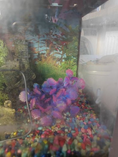 Fish Tank. There is a slight crack on the side of it but no leak as it's plastered. See the pic.  NO ACCESSORIES. TANK ONLY....