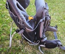 Child carrier