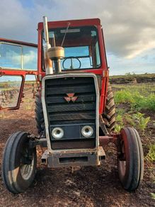 Massey 565