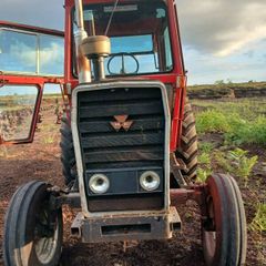 Massey 565