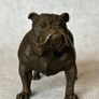 Bulldog - Cold Painted Bronze, Signed Image 4