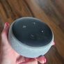 alexa Image 3