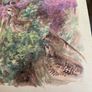 1980 Hardback Edition The Country Diary of An Edwardian Lady 1906 Image 5