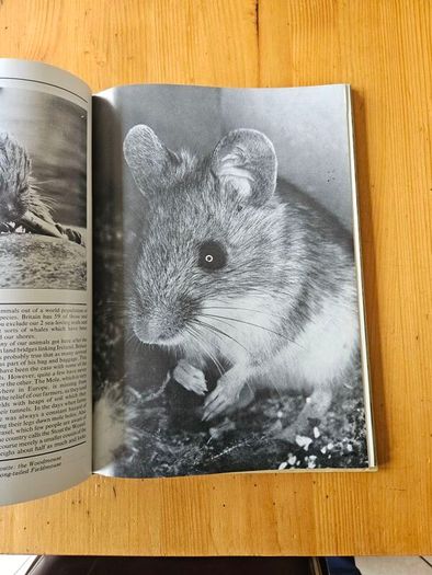 The Irish Wildlife Book. Edited By Fergus O'gorman. Illustrated By Gerrit Van Gelderen, Eamon De Buitlear And Richard Mills. First Edition Large Volume Hardback In Good Condition.