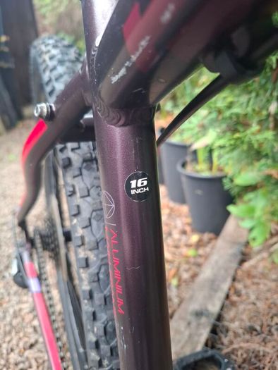 Mountain Bike