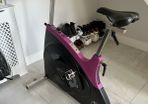 Commercial Exercise Bike