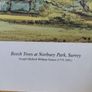 National Gallery Turner Print of Beech Trees. Image 3