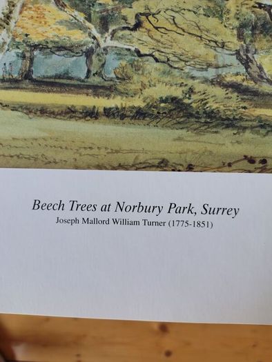 National Gallery Turner Print of Beech Trees.