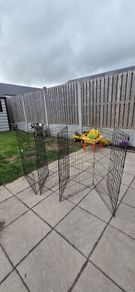 dog fence/pen
