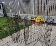 dog fence/pen