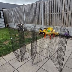 dog fence/pen