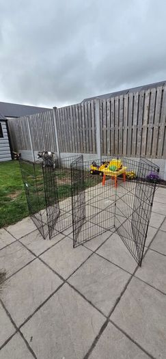 dog fence/pen