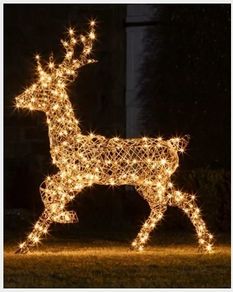 Large Rattan Stag Reindeer Indoor & Outdoor Christmas Figure