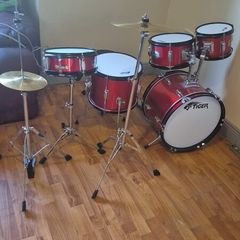 Tiger teenage drum kit