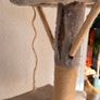 Cat Tree Image 2