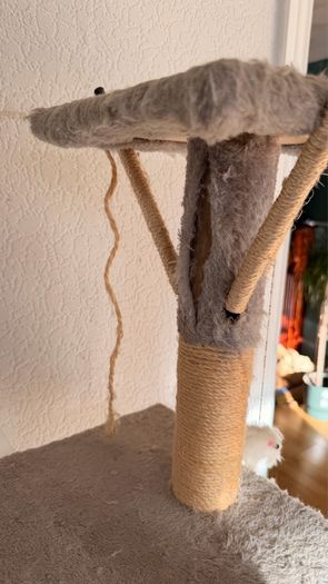 Cat Tree