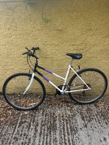Raleigh Pioneer