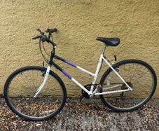 Raleigh Pioneer