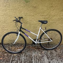 Raleigh Pioneer
