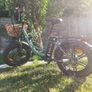 Electric Bicycle Image 2