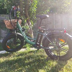 Electric Bicycle