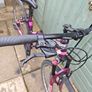 adult bike Image 2