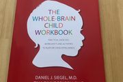 The whole brain child workbook