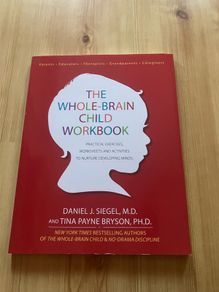 The whole brain child workbook