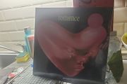 Fontaines dc Romance 2 vinyl deluxe edition
