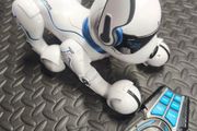 Ziggy Dog remote