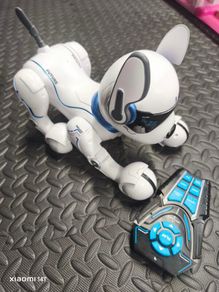 Ziggy Dog remote