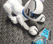 Ziggy Dog remote