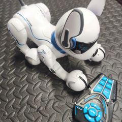 Ziggy Dog remote