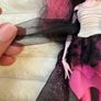 Monster High Doll Draculaura Ghouls Rule Mattel Used Very Dirty Hair Please see photos Image 5