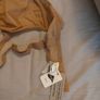 Brand new Intimissimi bra medium beige 85B Image 2