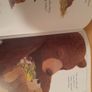 Children's book Are You There Baby Bear Image 3