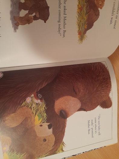 Children's book Are You There Baby Bear