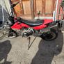 110cc pit bike Image 2